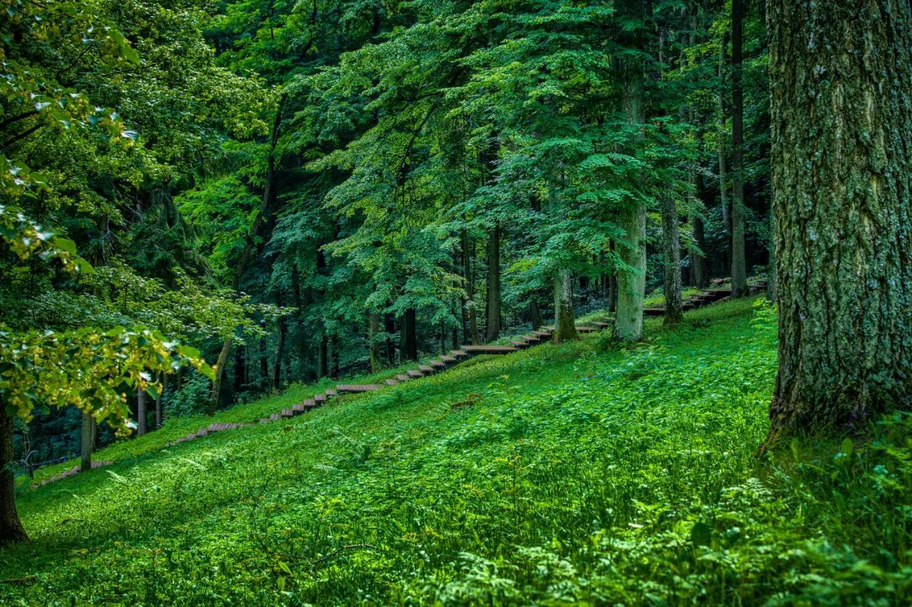 Enklawa Mikolajki Villa Dış mekan fotoğraf